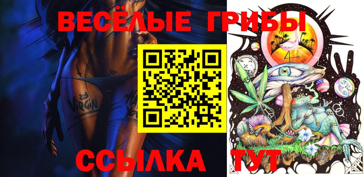 Галлюциногенные грибы Magic Shrooms  Вход с VPN  Галлюциногенные грибы Psilocybe  Санкт-Петербург 